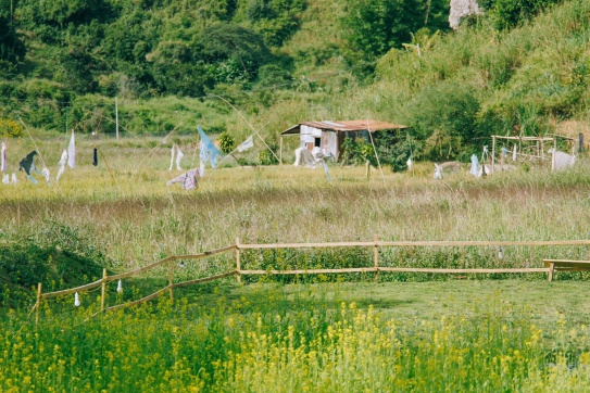 Note ngay trang trại thú cưng hot nhất Đà Lạt ngay lúc này