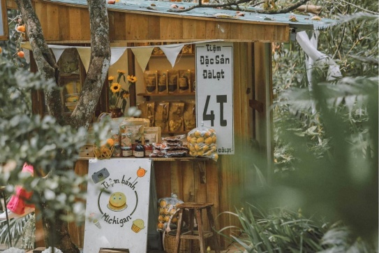 Tan chảy với vườn hồng chín trĩu quả ở Đà Lạt