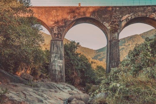 Cầu vòm Đồn Cả | Địa điểm cực chill giữa thiên nhiên xanh mượt