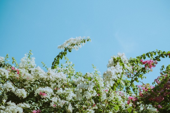 Một buổi sáng mùa thu yên bình ở Hội An