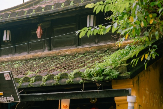 Hiếm có một thành phố nào tại Việt Nam 