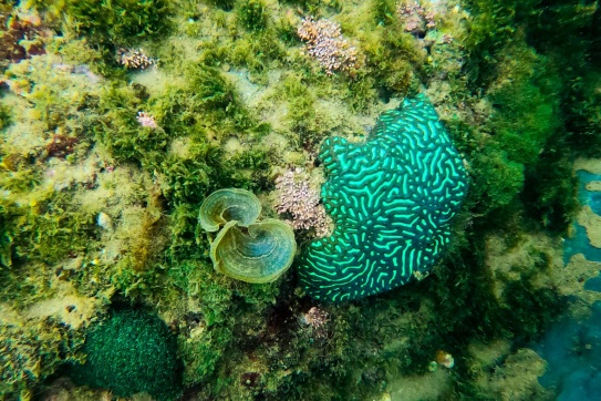 Mũi Nghê | “Viên ngọc” bí ẩn của Đà Nẵng