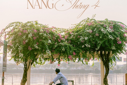 Cập nhật tình hình Đà Nẵng những ngày này