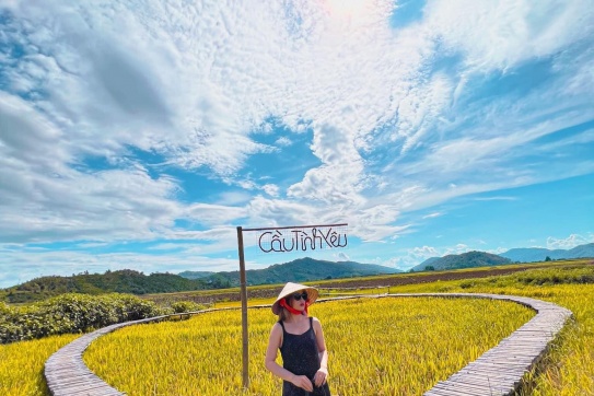 Mãn nhãn với view cánh đồng lúa chín vàng cực xịn của Tây Nguyên 