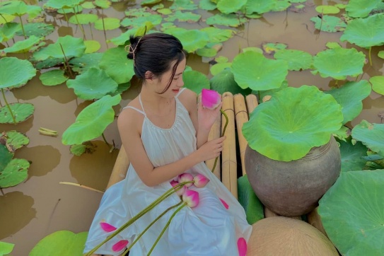 Đắk Nông / Chạm ngỏ một mùa sen nở rộ 