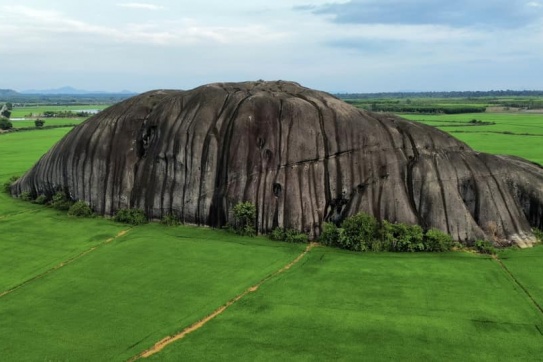 Đồng Nai với những đồng lúa xinh