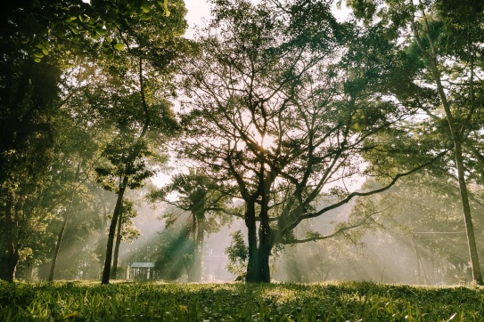 Công viên Suối Tre, đập Suối Tre, Đồng Nai