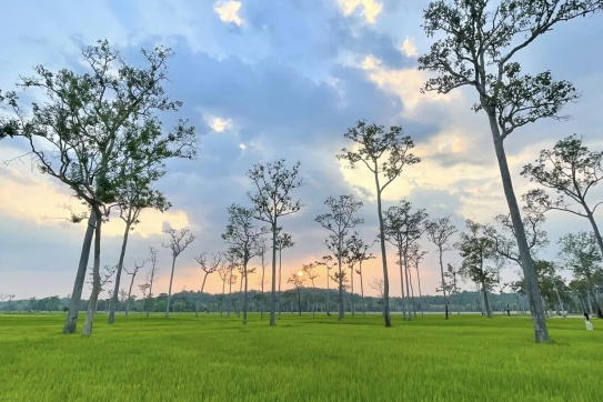 Có một Tà Lài (Đồng Nai) đẹp như thế.