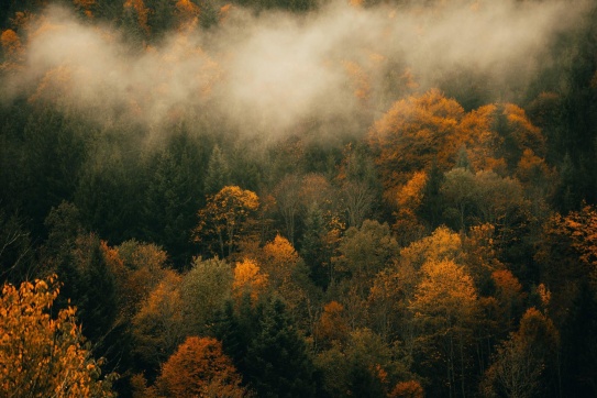 “Đắm mình” vào mùa thu nước Đức