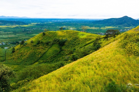 Mùa hoa dã quỳ Chư Đăng Ya, Pleiku.