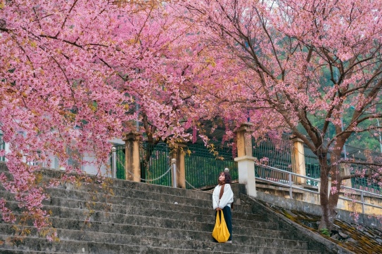 Nếu đã chọn đi Hà Giang vào dịp lễ