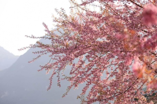 Ngay hôm nay tại Đồn Biên phòng Lũng Cú