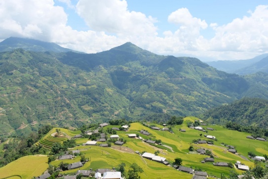 mùa lúa chín Hoàng Su Phì 