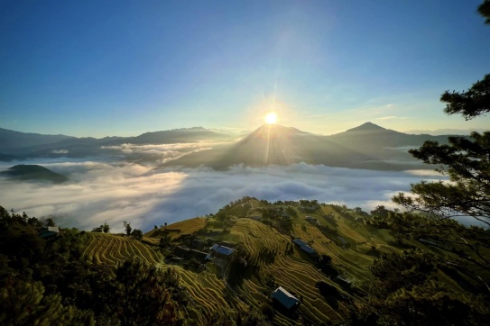 Đến mùa lúa chín 2023 rồi - Đi Hoàng Su Phì thôiiiii