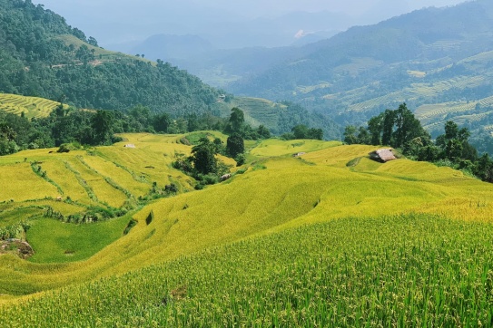 Ruộng bậc thang đẹp quên sầu  Nà Thác - Khuổi My - Lùng Vài