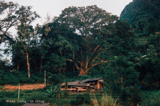 Làng cổ Thiên Hương giữa một ngàn nỗi nhớ
