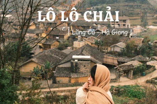 LÔ LÔ CHẢI