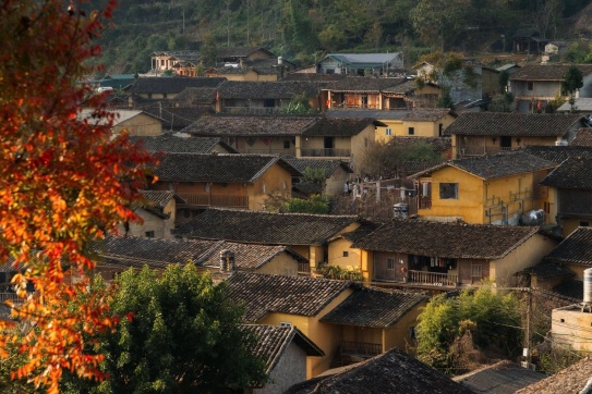 LÔ LÔ CHẢI MÙA THU …