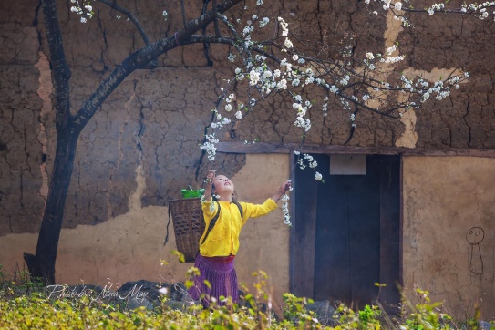 Miền đá nở hoa - Hà Giang!