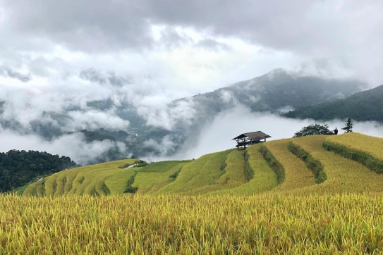 Hà Giang, dù có đi vào ngày mưa rét thì vẫn đẹp nức lòng người