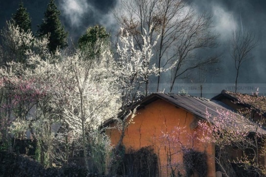 Những Ngày Đầu Đông Lạnh Lẽo