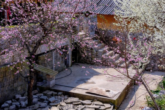 Nhà cổ Lao Xa - Hà Giang