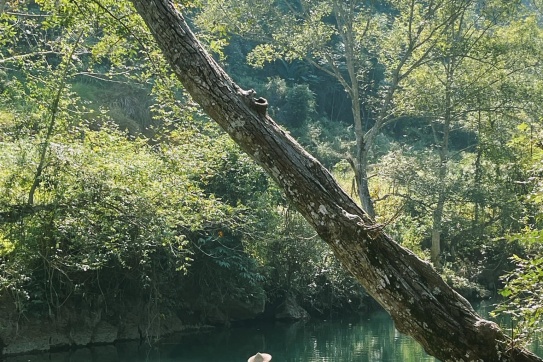 Suối Bản Án - Hang Thẩm Lín (Hà Giang)