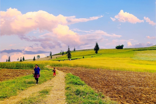 Thảo nguyên Suôi Thầu - chút mộng mơ giữa lòng Hà Giang 