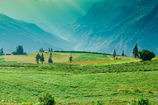 Thảo nguyên Suôi Thầu - Xín Mần - Hà Giang