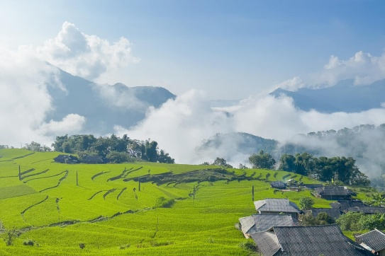 Đẹp ngỡ ngàng với mùa hoa tam giác mạch và mùa lúa ở Hà Giang