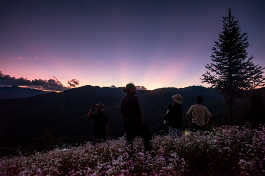 Check-in Hà Giang mùa tam giác mạch nở