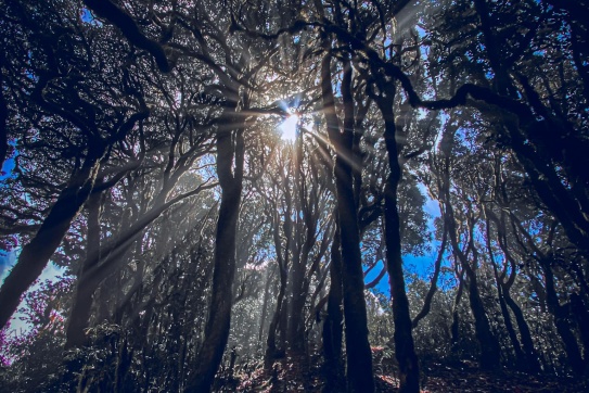Chinh phục Tây Côn Lĩnh (Hà Giang)