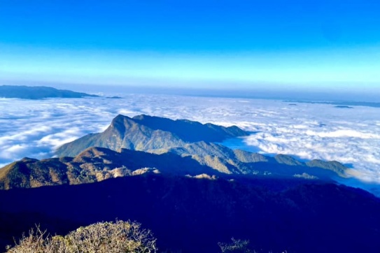 Mùa hoa đỗ quyên trên đỉnh Tây Côn Lĩnh (Hà Giang)