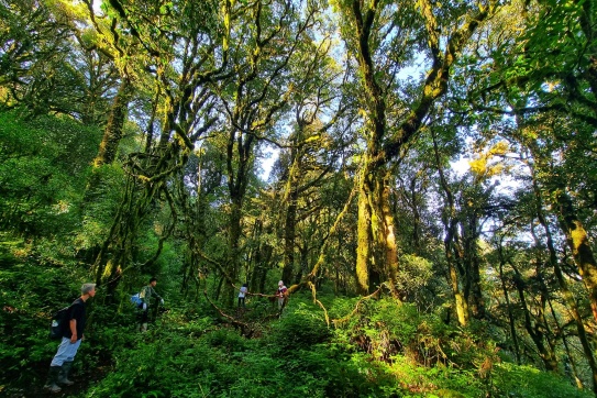 Tây Côn Lĩnh, một địa điểm checkin còn khá hoang sơ ở Hà Giang.