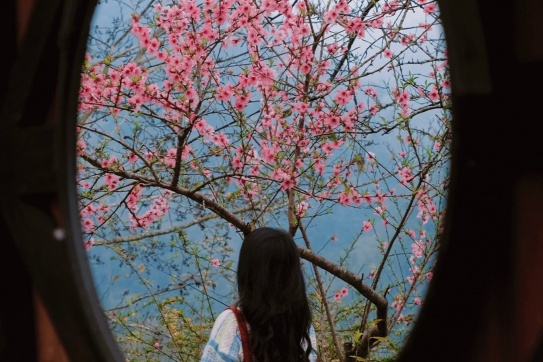 Mùa xuân miền biên viễn