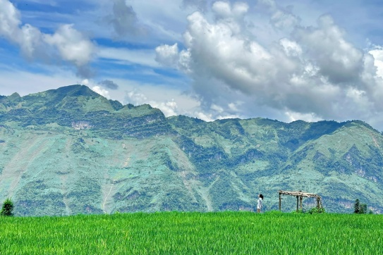 Săn lúa (chưa) chín ở Hoàng Su Phì, Xín Mần - Hà Giang
