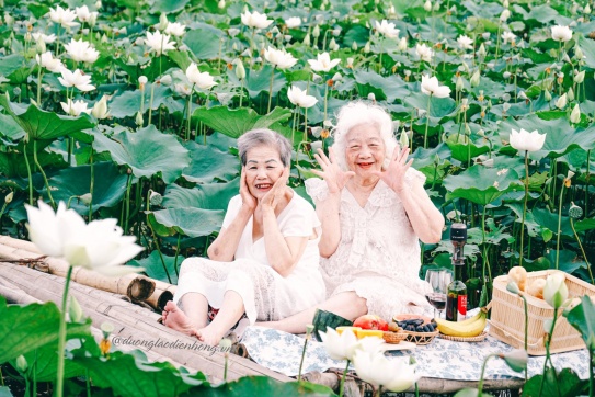 Note ngay 7 tọa độ check-in đầm sen cực đẹp ngay tại Hà Nội