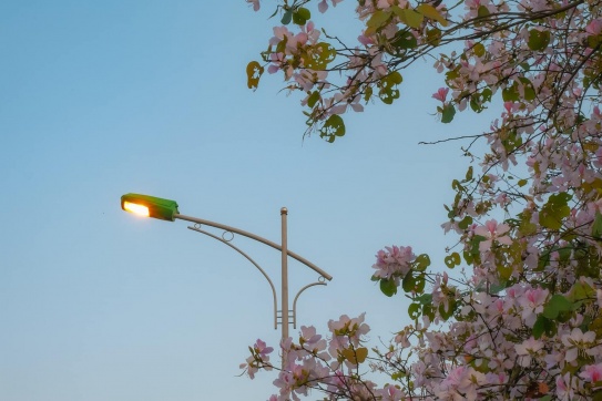 Trông rất Nhật Bản nhưng lại là Aeon Long Biên