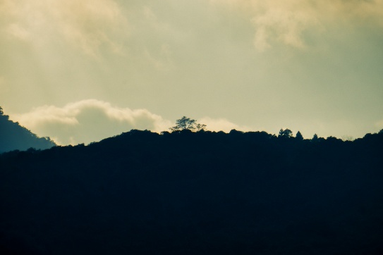 Vườn Quốc Gia Ba Vì - Hà Nội