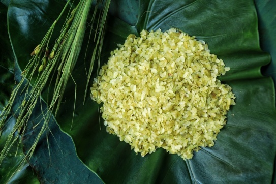 Mùa thu Hà Nội với hoa sữa, lá vàng rơi và… cốm