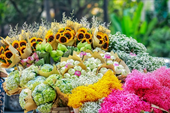 Cuối thu rồi, bạn đã check-in chưa?