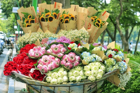 Hà Nội và những gánh hoa