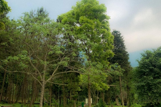 Chẳng cần đi đâu xa, cuối tuần cực chill với Khu Du lịch Thiên Sơn Suối Ngà