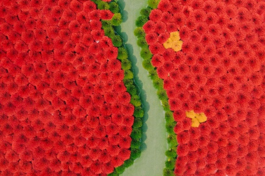 5 lưu ý lần đầu tới Làng hương Quảng Phú Cầu - Hà Nội 