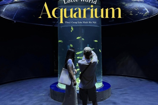 Lotte World Aquarium - Thuỷ cung trong nhà lớn nhất Hà Nội 
