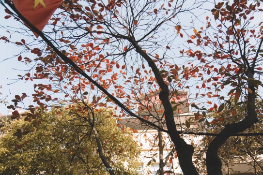 Góc phố mùa đông ..