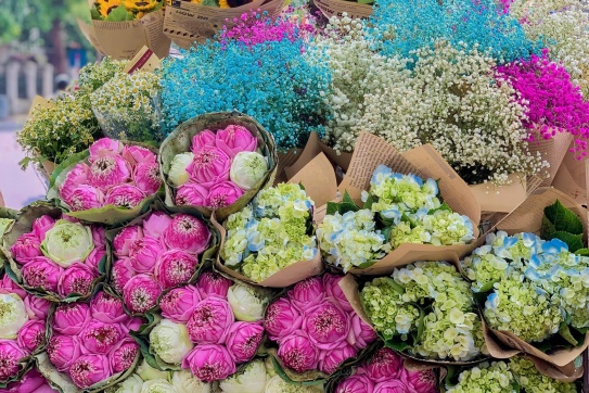 Mùa thu Hà Nội...