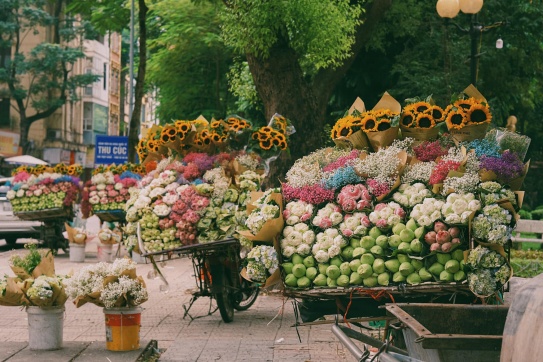 Tha hồ hoa trên phố mà chụp nha!