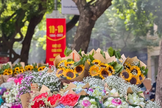 Đường Phan Đình Phùng những ngày nắng thu bình yên