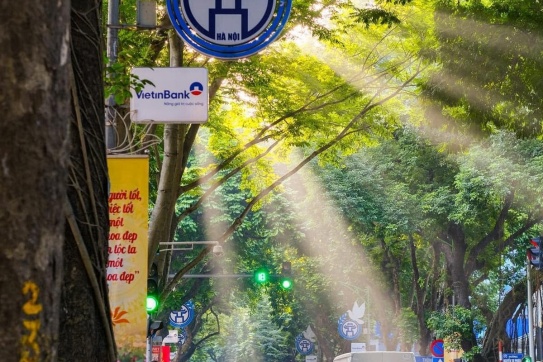 Nhặt nắng Hà Nội